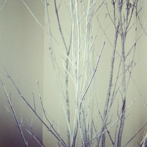 #DIY : 15 ways to decorate with twigs. Free tutorial here http://wp.me/p38cMm-1ni Living In The Woods, Christmas Decor Diy Cheap, Cozy Winter Decor, Decorating With Sticks, Twig Furniture, Tree Branch Decor, Dry Branch, Twig Branch, Retail Lighting