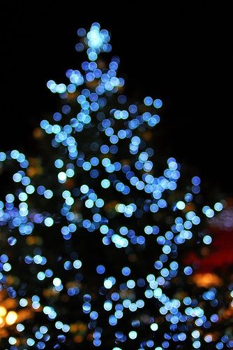 . pinned with Bazaart Light Blue Christmas, Lights Aesthetic, Frou Frou, Blue Tree, Aesthetic Dark, Winter Wonder, Noel Christmas, Blue Christmas, Luxury Lingerie