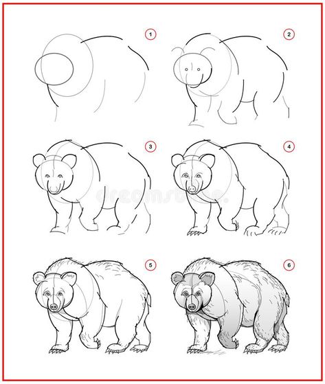 Step By Step Bear Drawing, How To Draw A Grizzly Bear, Grizzly Bear Drawing Sketches, Draw Bear Easy, How To Draw A Bear Step By Step, Drawing A Bear, How To Draw A Bear Easy, Animal Sketches Easy Step By Step, Bear Sketch Simple