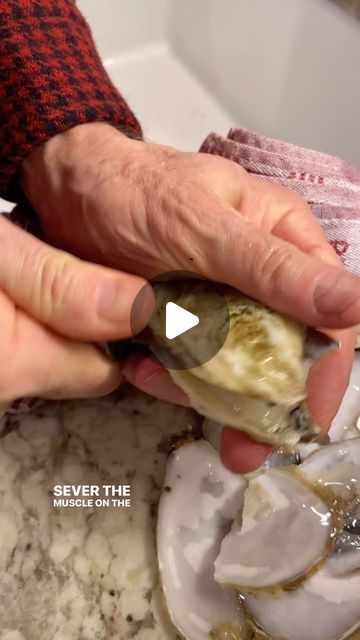 Sara Moulton on Instagram: "Shucking oysters with my secret weapon… my brother! 
#AccordingToSaraMoulton" How To Shuck An Oyster, Oysters Recipes, Sara Moulton, Shucking Oysters, Oyster Shell, My Brother, May 17, Seafood, On Instagram