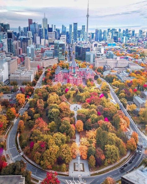 Toronto Street Photography, Toronto Fall, Toronto Street, Toronto City, O Canada, Toronto Life, Downtown Toronto, Wonderful Picture, Amazing Travel