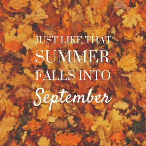 Sep 1, 2020 - Looking for Hello September images to welcome autumn? We have rounded up some of the most beautiful Hello September images sayings, wallpapers, quotes, and pictures for you to welcome the autumn season. September is the ninth month of the year following August, with fresh energy and aspirations. Also See: Hello August … Hello September Images, September Pictures, September Images, September Quotes, Neuer Monat, Welcome September, Hello August, Happy September, Fall Images