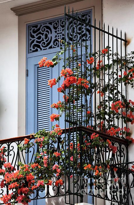 . Small Balcony Flowers, French Balcony Garden, French Balcony Ideas, Faux Balcony, Blue Balcony, Beautiful Balconies, Parisian Balcony, Balcony Exterior, Paris Balcony