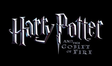 Fire Logo, Harry Potter Movie, The Goblet Of Fire, The Sorcerer's Stone, Goblet Of Fire, Movie Titles, Harry Potter Movies, Harry Potter Hogwarts, Wizarding World