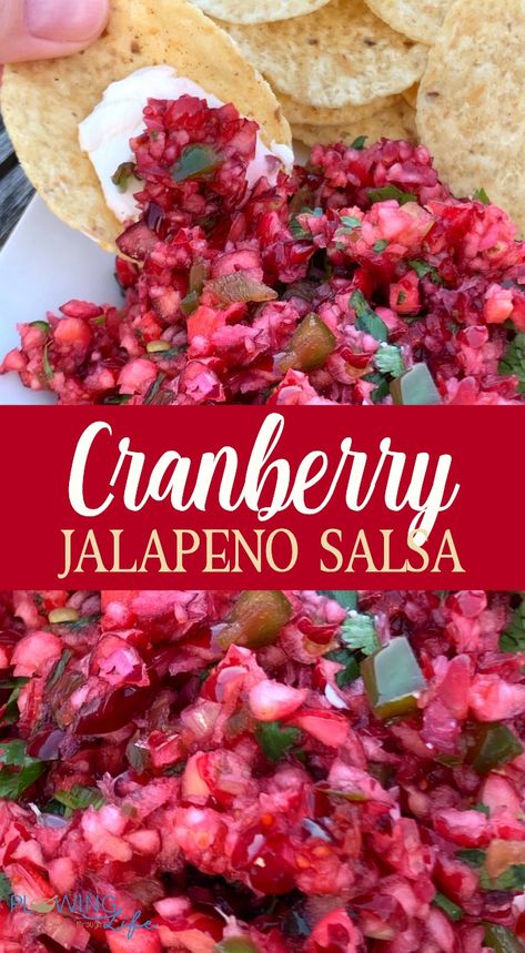 Cranberry Recipes Thanksgiving, Jalapeno Salsa Recipe, Jalapeño Salsa, Fresh Cranberry Recipes, Cranberry Jalapeño, Cranberry Salsa, Jalapeno Dip, Cranberry Relish, Jalapeno Recipes