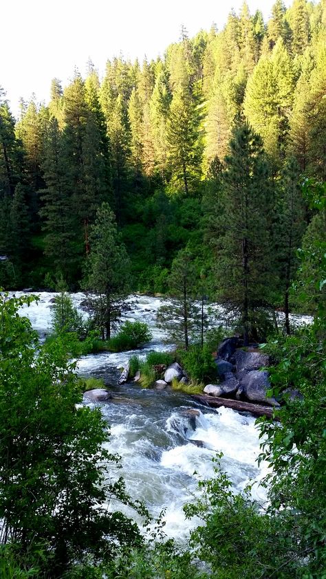 Payette River- Boise Idaho National Forest Hiking Idaho, Craters Of The Moon, Idaho Travel, Salmon River, Mountain Ranges, Boise Idaho, Winter Camping, Road Trippin, Family Vacations