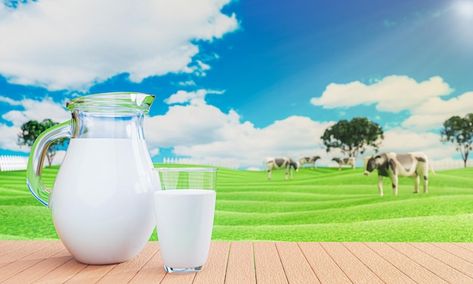 Fresh milk in clear glass and milk jug o... | Premium Photo #Freepik #photo #milk-jug #milk-farm #milk-jar #milk-cup Milk Photo, Milk Jar, Milk Cup, Fresh Milk, Plank Flooring, Min Ho, Milk Jug, Lee Min, Vector Photo