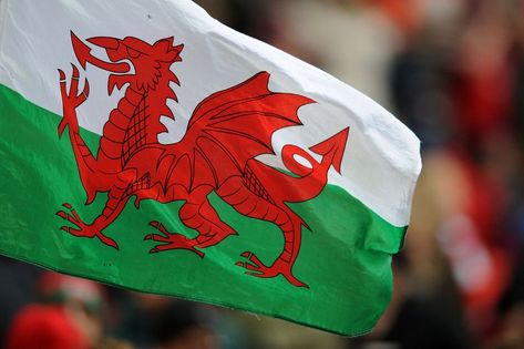 The Welsh flag is named the coolest in the world - Wales Online Welsh National Anthem, Welsh Words, Wales Flag, Welsh Language, Welsh Flag, Maori People, Katherine Jenkins, Flags With Names, Combat Sport