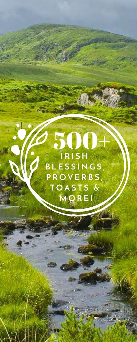 Irish Proverbs Inspiration, An Irish Blessing, Irish Toasts Quotes, Irish Proverbs Quotes, Irish Toast, Proverbs About Love, Irish Blessing Quotes, Old Irish Blessing, Irish Phrases