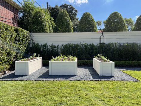 Raised vegetable beds