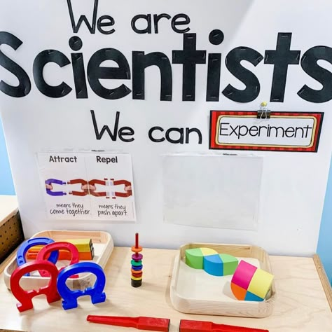 We Are Scientists Preschool, Science Area Preschool Classroom, Montessori Science Shelf, Science Eyfs, Science Area Preschool, Preschool Science Center, Dramatic Play Centers Preschool, Science Center Preschool, Investigation Area