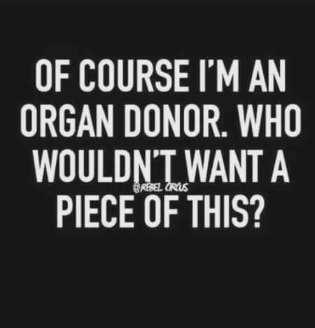 Organ donor Funniest Quotes Ever, Quotes Funny Life, Unknown Quotes, Short Funny Quotes, Organ Donor, Senior Quotes, Funny Quotes About Life, Quotes About Life, Life Humor