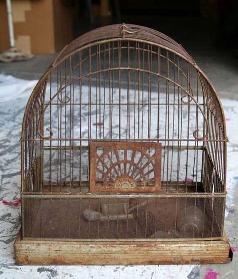 Vintage Crown Bird Cage Repurpose Bird Cage, Antique Bird Cage Decor Ideas, Bird Cage Ideas, Vintage Bird Cages, Vintage Bird Cage Decor, Birdcage Planter, Planter Designs, Antique Bird Cages, Cage Decor