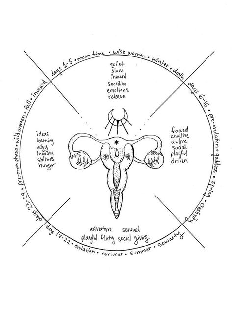 Cycling Art Drawing, Life Cycle Art, Flower Cycle, Cycling Art Illustrations Posters, Flower Life Cycle, Menstrual Cycle Phases, Cycling Art Print, Cycle Art, Womb Healing