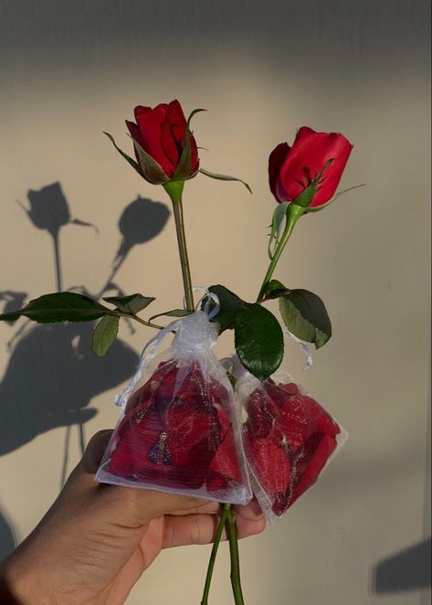 Um presente com muito amor envolvido! (um vício chamado dar rosas de presente :))