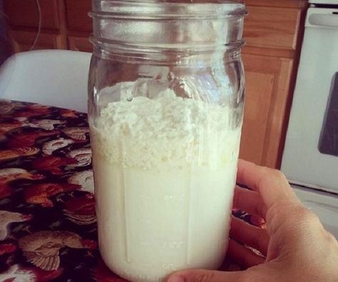 Como fazer kefir, o melhor de todos os probióticos | Cura pela Natureza Milk Kefir, Milk Recipes, Fermented Foods, Pisco, Kefir, Kombucha, Alternative Medicine, Nutrition Tips, Veggie Recipes