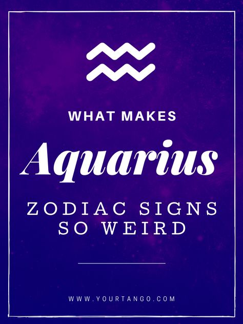 Aquarius Water Bearer, Aquarius Signs, Him And Her Tattoos, Aquarius Astrology, Zodiac Sign Aquarius, Leo And Aquarius, Aquarius Zodiac Sign, Zodiac Aquarius, Aquarius Truths