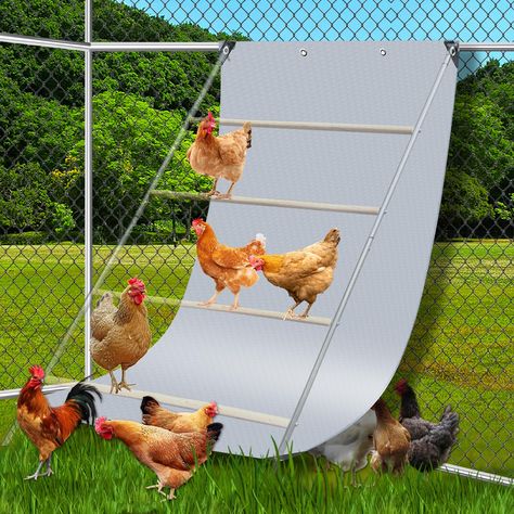 PRICES MAY VARY. 【Package Includes】You will get 6.5 * 4 FT chicken coop poop hammock and 8pcs ball bungees cords(Perch Ladder not Included). The floor under the roosting bar is where it is the dirtiest, This will help keep the coop floor or grass clean. 【Premium Material】Our poop deck for chicken are made of thickened PE material, waterproof, sunproof and snowproof, provide backyard poultry with better protection against strong sunlight and heavy snow, it can be used indoors and outdoors. 【Easy Smart Chicken Coop, Chicken Coop Poop Catcher, Free Range Chicken Coop Ideas, Chicken Coop With Storage, Chicken Coop With Run Plans, Bunny Coop, Free Range Chickens Coop, Chicken Pens, Roosting Bars