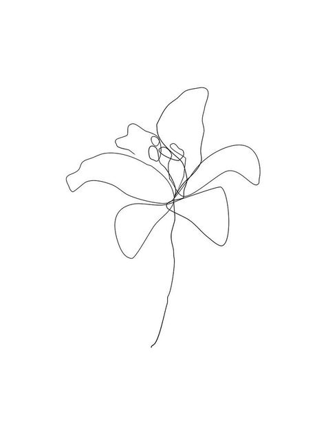 One Line Lily Tattoo, Lily One Line Drawing, Minimalist Lily Tattoo, Minimalist Line Art Flowers, Lily Line Drawing, Lily Line Art, Lily Flower Drawing, One Line Flower, Lily Drawing