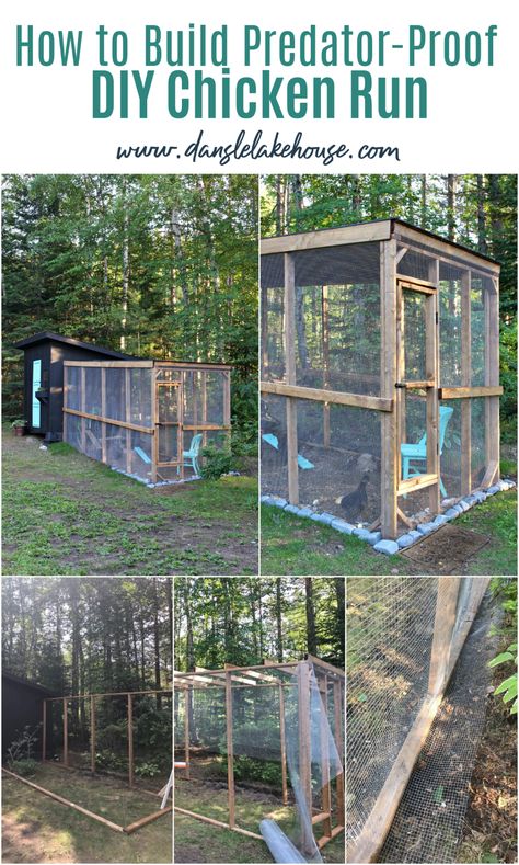 Build A Chicken Run, Pallet Backyard, Coop Layout, Chicken Run Ideas, Building A Chicken Run, Oasis Backyard, Duck Coop, Gardening Backyard, Backyard Chicken Coop Plans