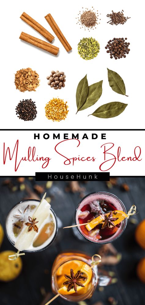 Transform your cider or wine into a flavor-packed delight with our Homemade Mulling Spices Blend. With a touch of cinnamon, cloves, and orange zest, this aromatic creation will transport you to a cozy winter wonderland. Get the recipe now! Mulled Wine Spice Recipe, Diy Mulling Spices For Cider, Mulled Spices Recipe, Mulling Spice Recipe, Homemade Mulling Spice Recipe, Mulled Wine Spices, Holiday Beverages, Spice Blends Recipes, Spiced Drinks