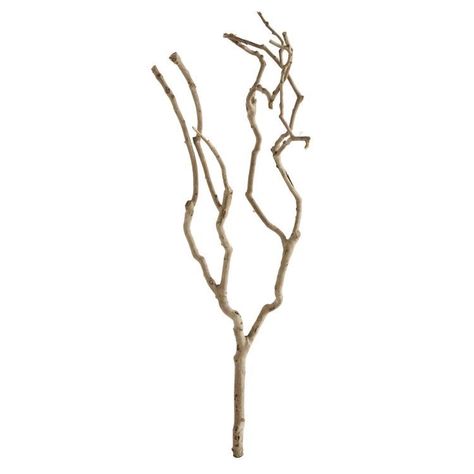 Tree Branches In Vase, Dry Tree Branches Decoration, Tree Branch Decor, Natural Tea, Natural Teas, Branch Decor, Botanical Collection, Creative Co Op, Large Planters