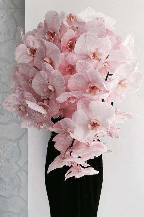 dusty rose wedding bouquet cascading with orchids willow_and_bear Pink Orchids Bouquet, Dusty Rose Wedding Bouquet, Wedding Bouquet Cascading, Orchid Bridal Bouquets, Orchid Bouquet Wedding, Orchid Bouquet, Dusty Rose Wedding, Orchid Wedding, Gold Wedding Decorations