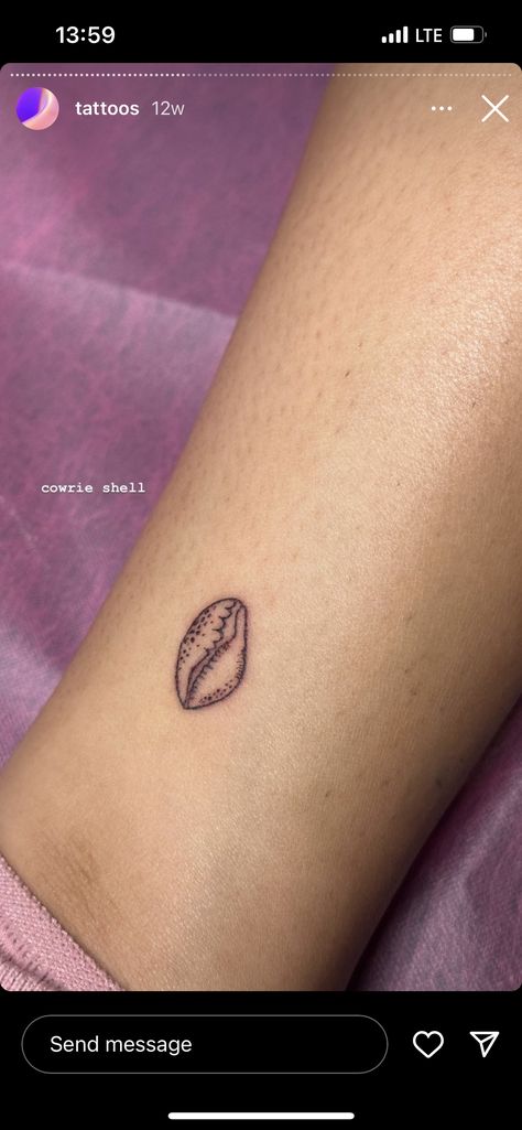 Cowrie Shell Tattoo Design, Hawaiian Shell Tattoo, Opihi Tattoo, Cowry Shell Tattoo, Murex Shell Tattoo, Puka Shell Tattoo, Cowrie Tattoo, Shell Tattoos For Women, Cornwall Tattoo