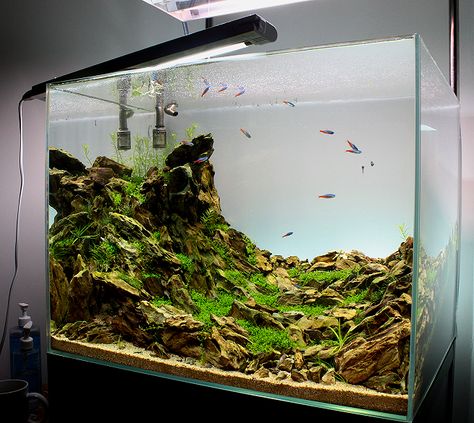 Ohko Stone Aquascape, Aqua Tank, Amazing Aquariums, Nano Aquarium, Fresh Water Fish Tank, Aquascape Aquarium, Home Aquarium, Vivarium, Aquarium Design