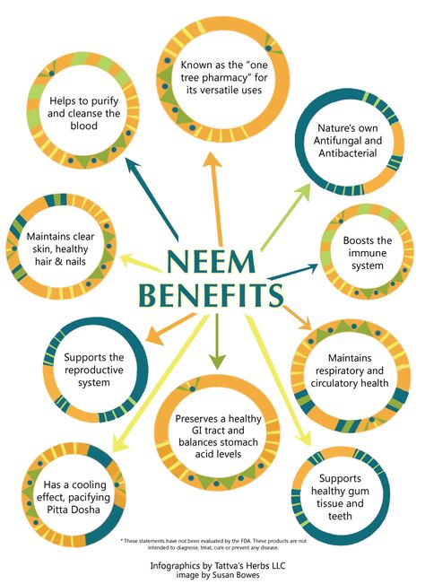 Ayurvedic Supplements, Neem Benefits, Herbs Benefits, Benefits Of Neem, Ancient Medicine, Lung Health, Ayurvedic Remedies, Herbal Apothecary, Beauty Supplements