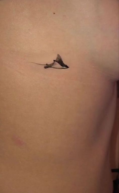 210+ Outstanding Stingray Tattoos Ideas and Designs (2023) - TattoosBoyGirl #tattooideas #tattoo #creativetattoos #minitats #patchworktattooideas #meaningfultattoos #tattooideasfemale #uniquetattoos Stingray Tattoo Minimalist, Sting Rays Tattoo, Cute Stingray Tattoo, Stingray Spine Tattoo, Manta Rays Tattoo, Stingray Tattoo Design, Eagle Ray Tattoo, Sting Ray Tattoo, Stingray Tattoos