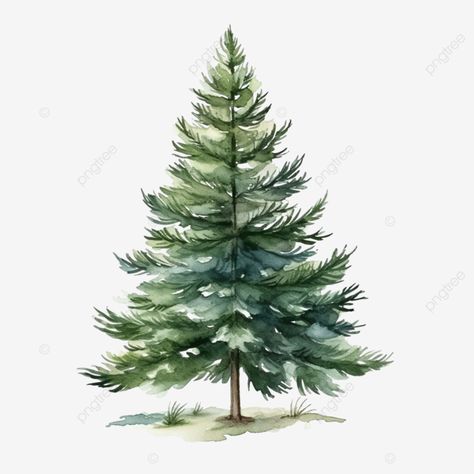 christmas watercolor pine tree Christmas Tree Drawing Watercolor, Xmas Tree Watercolor, Evergreen Tree Illustration, Christmas Tree Images Clip Art Free Printable, Snowy Pine Trees Painting, Christmas Trees Watercolor, Pine Trees Drawing, Pine Illustration, Pine Tree Watercolor