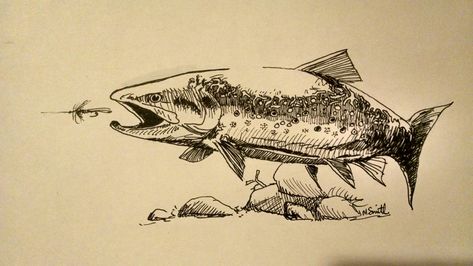 Fishing Fly Drawing, Brook Trout Drawing, Brook Trout Art, Fly Fishing Drawing, Brook Trout Tattoo, Trout Sketch, Fishing Drawings, Trout Drawing, Trout Tattoo