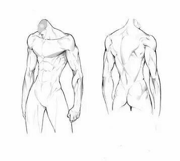 Male Art Reference, Back Drawing, Výtvarné Reference, Human Anatomy Drawing, Siluete Umane, Body Drawing Tutorial, Human Anatomy Art, Anatomy Sketches, Body Reference Drawing