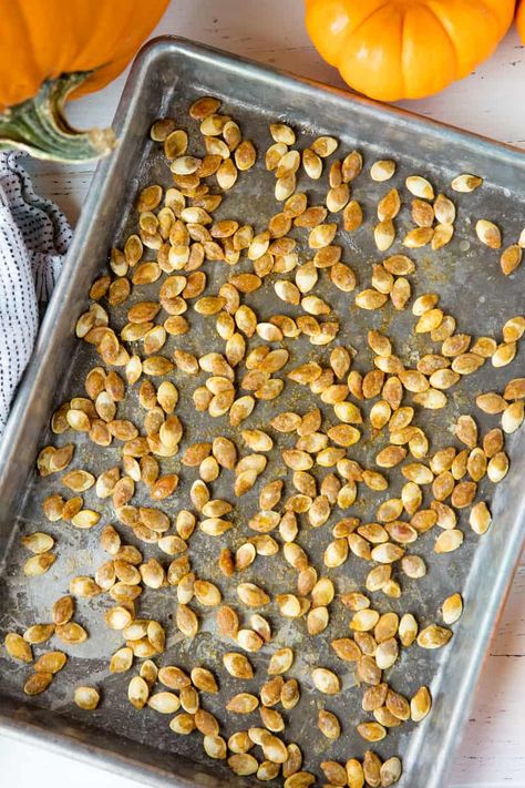 Roasted Pumpkin Seeds https://thestayathomechef.com/roasted-pumpkin-seeds/ Pumpkin Seed Nutrition, Pumpkin Seed Recipes Roasted, Pumpkin Seeds Baked, Stay At Home Chef, Aip Paleo Recipes, Pumpkin Seed Recipes, Pumpkin Sauce, Carving Pumpkins, Roasted Pumpkin