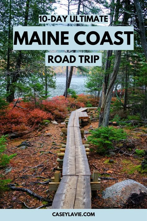 Travel United States, Maine Road Trip, Road Trip Travel, New England Road Trip, Maine Vacation, Scenic Road Trip, Maine Travel, New England Travel, Maine Coast