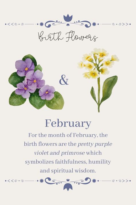 Violet Flower February, Violets And Primrose, Primrose Flower Meaning, Primrose Violet Tattoo, February Month Flower, Birth Flower For February, February Flower Tattoo With Name, Birth Flower Meanings, Violets And Primrose Tattoos