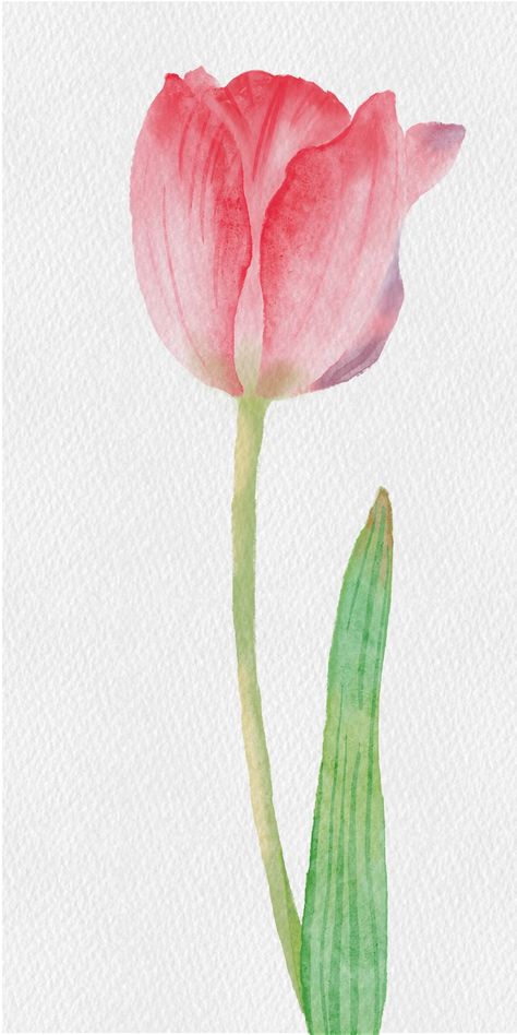 Watercolor Paintings Of Tulips, Pink Tulips Drawing Aesthetic, Watercolor Tulip Bouquet, Tulip Easy Painting, Watercolor Tulips Watercolour, Watercolor Art Tulips, Water Colour Tulip, Tulips In Watercolor, Watercolor Flower Pot