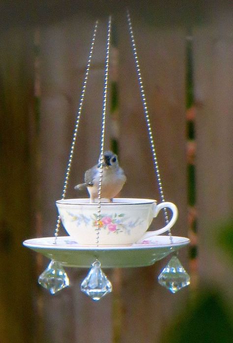 Repurpose old china dishes to make the most delightful birdfeeders. Teacup Crafts, Tea Cup Bird Feeder, Diy Bird Feeder, Diy Birds, Cup Crafts, Glass Garden, Bird Feeder, Garden Crafts, Outdoor Projects