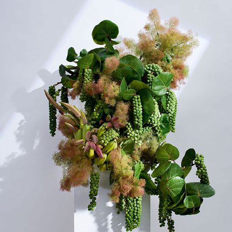 Smokebush Arrangement, Floral Shoot, Italian Flowers, Vertical Garden Plants, Plant Installation, Sustainable Flowers, Hanging Gardens, Banana Flower, Flower Installation