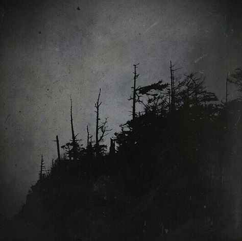 Dark Forests, Window Aesthetic, Dark Window, Dark Windows, Dark Aesthetics, Dark Nature, Time Loop, Ideal World, Dark Nature Aesthetic