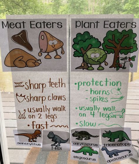 Social Studies Dinosaur Activities, Dinosaur Class Activities, Dinosaur Theme Lesson Plan, Dino Lessons Preschool, Carnivore Dinosaur Activities, Carnivore And Herbivore Activities, Meat Eater Vs Plant Eater Dinosaurs, Dinosaur For Preschool Activities, Dinosaur Theme Kindergarten