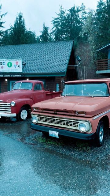 Forks Town Aesthetic, Twilight Desired Reality, La Push Aesthetic, Forks Washington Aesthetic, Forks Washington Twilight Aesthetic, Washington Forks, Twilight Trip, Forks Washington Twilight, Twilight Forks