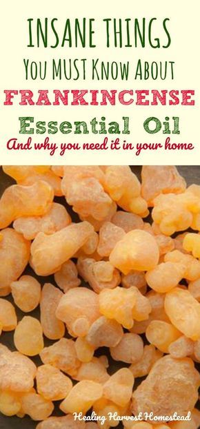 Why would anyone want to use frankincense essential oil? Find out the incredible benefits and uses of frankincense essential oil, PLUS how to use it. Why do you need Frankincense essential oil in your home? Find out all the things to know about Frankincense essential oil! Frankincense Essential Oil Benefits, Frankincense Essential Oil Uses, Amazing Easy Recipes, Essential Oil Remedy, Essential Oils Herbs, Oil Remedies, Frankincense Oil, Essential Oil Benefits, Healing Oils