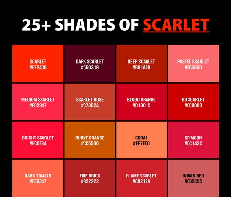 Welcome to the fabulous, sometimes confounding world of scarlet! If you thought scarlet was just your run-of-the-mill red with a fancier name, think again. From the cheeky blush of a tomato (don't even get me started on tomatoes thinking they're fruits!) to the sassy pop of a flamingo's feather, the shades of scarlet color are as varied as they are vibrant Color Vocabulary, Shades Of Red Color, Canva Inspiration, Color Names Chart, Scarlet Color, Colour Palate, Flat Color Palette, Color Knowledge, Christmas Color Palette