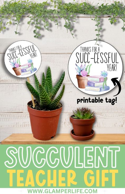 Back To School Plant Gift, Teacher Appreciation Succulent Printable, Succulents Teacher Appreciation, Thank You Plants Appreciation Gifts, Aloe Vera Plant Teacher Gift, Teacher Succulent Gift Tag, Teacher Appreciation Gifts Succulents, Succulent Teacher Gift Printable Tags, Teacher Succulent Quotes