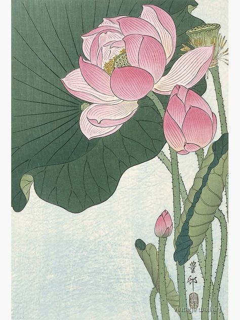 "Lotus Flower - Japanese Block Print" Greeting Card by fineearth | Redbubble Japanese Lotus, Japanese Block Print, Japanese Woodcut, Lotus Flower Art, Flower Notebook, Images D'art, Blooming Lotus, Ohara Koson, Lotus Art