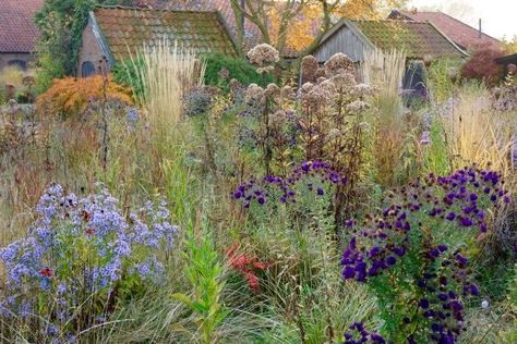 10 Garden Ideas to Steal from Superstar Dutch Designer Piet Oudolf Dutch Gardens, Piet Oudolf, Prairie Garden, Meadow Garden, Grasses Garden, Landscape Design Plans, Have Inspiration, Garden Edging, Natural Garden