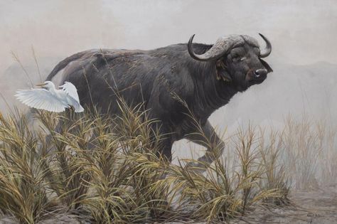 At Auction: Robert McLellan Bateman, Robert McLellan Bateman Robert Bateman, American Indian Art, Paper Ephemera, Wildlife Art, Art Project, Indian Art, Chinese Art, Asian Art, Japanese Art