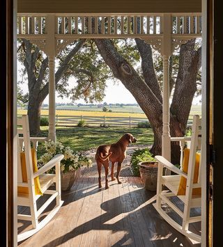 Dream Life House, Farm Lifestyle, Future Farms, Southern Life, Ranch Life, Rocking Chairs, Dream House Exterior, Dream House Plans, Take Me Home